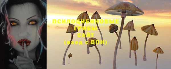 герыч Касимов