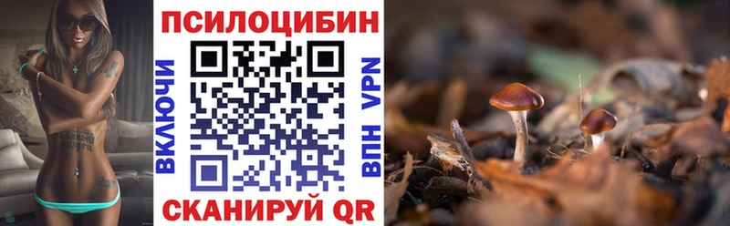 Купить где  Белгород  Псилоцибиновые грибы Psilocybine cubensis 